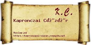 Kapronczai Cézár névjegykártya