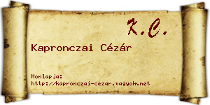 Kapronczai Cézár névjegykártya